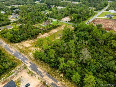 Discover the perfect opportunity to design your ideal Florida on Pine Ridge Community Golf and Country Club in Florida - for sale on GolfHomes.com, golf home, golf lot