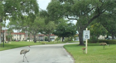 Ultra clean, nicely furnished 2BR/2BA condo tucked into the NW on The American Golf Club in Florida - for sale on GolfHomes.com, golf home, golf lot