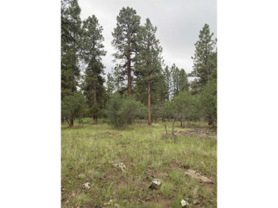 Lovely lot in Divide Ranch and Club and includes PAID water tap on The Divide Ranch and Club in Colorado - for sale on GolfHomes.com, golf home, golf lot