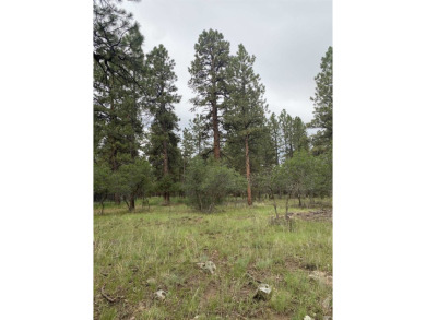 Lovely lot in Divide Ranch and Club and includes PAID water tap on The Divide Ranch and Club in Colorado - for sale on GolfHomes.com, golf home, golf lot