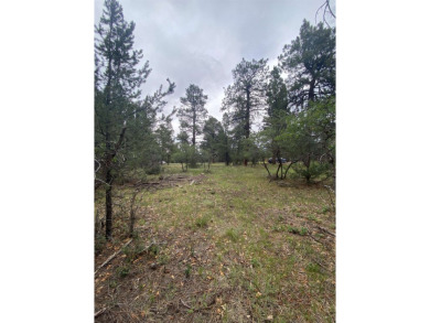 Lovely lot in Divide Ranch and Club and includes PAID water tap on The Divide Ranch and Club in Colorado - for sale on GolfHomes.com, golf home, golf lot