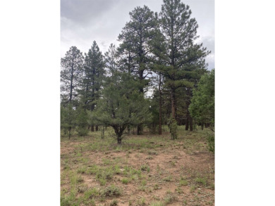 Lovely lot in Divide Ranch and Club and includes PAID water tap on The Divide Ranch and Club in Colorado - for sale on GolfHomes.com, golf home, golf lot