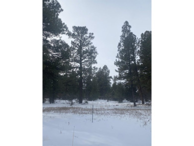 Lovely lot in Divide Ranch and Club and includes PAID water tap on The Divide Ranch and Club in Colorado - for sale on GolfHomes.com, golf home, golf lot