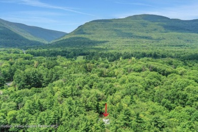 Experience modern simplicity in this newly built, thoughtfully on Rip Van Winkle Country Club in New York - for sale on GolfHomes.com, golf home, golf lot