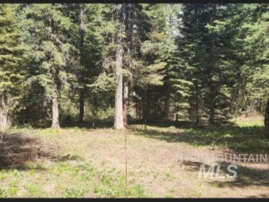 The ultimate outdoor enthusiast's dream! With two RV sites on Osprey Meadows at Tamarack Resort in Idaho - for sale on GolfHomes.com, golf home, golf lot