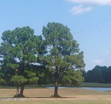 The Kent floor plan offers a spacious and versatile living space on Harbour Point Golf Club in North Carolina - for sale on GolfHomes.com, golf home, golf lot