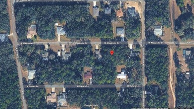INVESTOR AND BUILDER ALERT!! 1/4 acre parcel in Citrus Springs!! on Citrus Springs Country Club in Florida - for sale on GolfHomes.com, golf home, golf lot