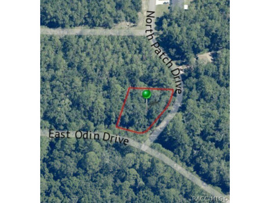 Picturesque homesite in Citrus Springs offering an incredible on Citrus Springs Country Club in Florida - for sale on GolfHomes.com, golf home, golf lot