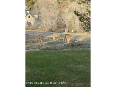 Spacious residence bordering the #7 hole at Cedar Creek Golf on Star Valley RV Golf Course in Wyoming - for sale on GolfHomes.com, golf home, golf lot