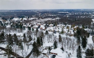 Step into European elegance with this pristine condo, perfectly on Pine Knob Golf Club - Hawk in Michigan - for sale on GolfHomes.com, golf home, golf lot