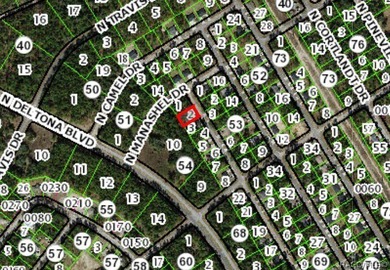 Multi-Residential Buildable Lot in Citrus Springs presents an on Citrus Springs Country Club in Florida - for sale on GolfHomes.com, golf home, golf lot