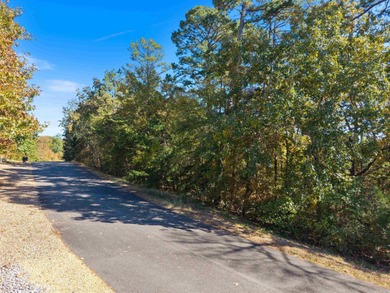 Beautiful ~1/2 acre corner lot, right next to the Isabella golf on Isabella Golf Course  in Arkansas - for sale on GolfHomes.com, golf home, golf lot