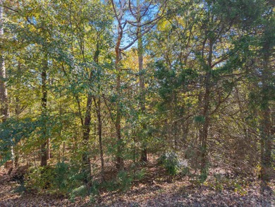 Beautiful ~1/2 acre corner lot, right next to the Isabella golf on Isabella Golf Course  in Arkansas - for sale on GolfHomes.com, golf home, golf lot