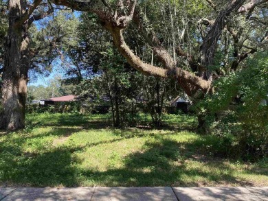 This appealing 120x120 lot, located near Osceola Golf Course on Osceola Municipal Golf Course in Florida - for sale on GolfHomes.com, golf home, golf lot