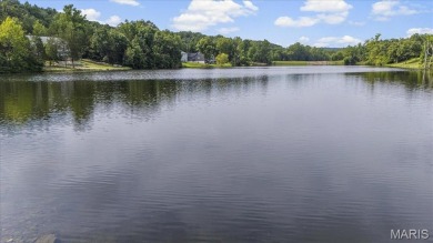 Lakefront Living at Its Finest! Nestled on a picturesque 1/2 on Raintree Country Club in Missouri - for sale on GolfHomes.com, golf home, golf lot