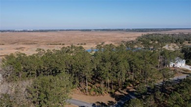 DON'T MISS OUT ON THIS ONE OF A KIND LOT IN ONE OF COASTAL on The Golf Club At Sanctuary Cove in Georgia - for sale on GolfHomes.com, golf home, golf lot