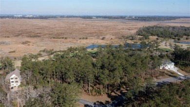 DON'T MISS OUT ON THIS ONE OF A KIND LOT IN ONE OF COASTAL on The Golf Club At Sanctuary Cove in Georgia - for sale on GolfHomes.com, golf home, golf lot