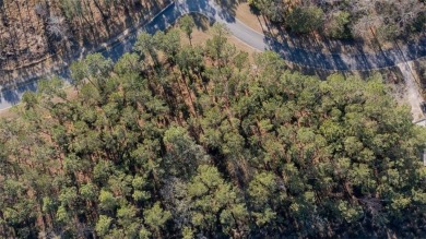 DON'T MISS OUT ON THIS ONE OF A KIND LOT IN ONE OF COASTAL on The Golf Club At Sanctuary Cove in Georgia - for sale on GolfHomes.com, golf home, golf lot