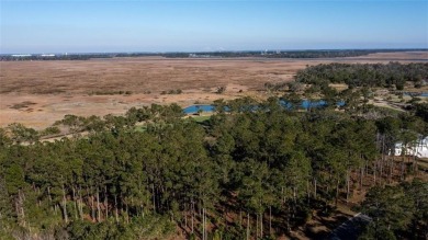 DON'T MISS OUT ON THIS ONE OF A KIND LOT IN ONE OF COASTAL on The Golf Club At Sanctuary Cove in Georgia - for sale on GolfHomes.com, golf home, golf lot