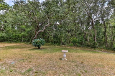 The upgrades to this 3,500+ SF home are endless and include a on Sugarmill Woods Golf and Country Club in Florida - for sale on GolfHomes.com, golf home, golf lot
