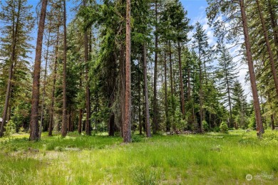 Are you ready to experience the last expansive  1/2  acre on Suncadia Resort in Washington - for sale on GolfHomes.com, golf home, golf lot