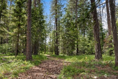 Are you ready to experience the last expansive  1/2  acre on Suncadia Resort in Washington - for sale on GolfHomes.com, golf home, golf lot