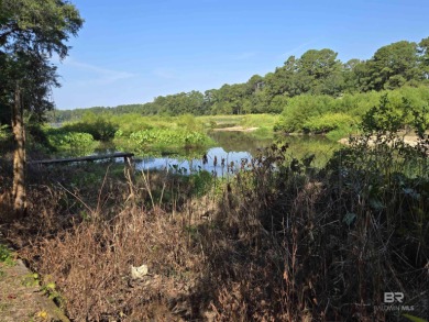 Unlock the potential of this lake home on highly sought-after on Lake Forest Yacht and Country Club in Alabama - for sale on GolfHomes.com, golf home, golf lot