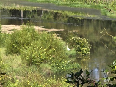 Unlock the potential of this lake home on highly sought-after on Lake Forest Yacht and Country Club in Alabama - for sale on GolfHomes.com, golf home, golf lot