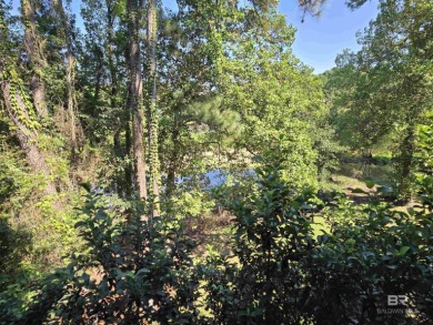Unlock the potential of this lake home on highly sought-after on Lake Forest Yacht and Country Club in Alabama - for sale on GolfHomes.com, golf home, golf lot