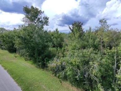 Discover the perfect opportunity to build your dream home on on Wedgefield Golf Club in Florida - for sale on GolfHomes.com, golf home, golf lot