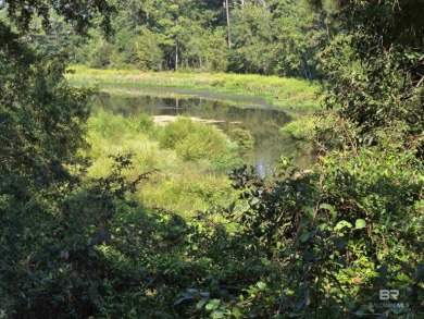 Unlock the potential of this lake home on highly sought-after on Lake Forest Yacht and Country Club in Alabama - for sale on GolfHomes.com, golf home, golf lot