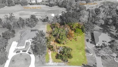 RARE OPPORTUNITY to own a premier estate homesite in the on Black Diamond Ranch Golf Course in Florida - for sale on GolfHomes.com, golf home, golf lot