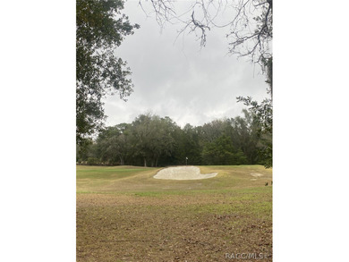 RARE OPPORTUNITY to own a premier estate homesite in the on Black Diamond Ranch Golf Course in Florida - for sale on GolfHomes.com, golf home, golf lot