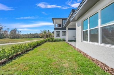 Move-in Ready! This beautiful Marbella plan in Hampton Green at on Providence Golf Club in Florida - for sale on GolfHomes.com, golf home, golf lot