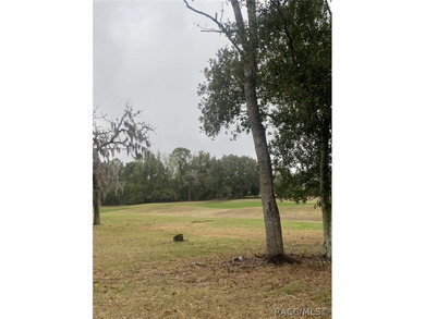 RARE OPPORTUNITY to own a premier estate homesite in the on Black Diamond Ranch Golf Course in Florida - for sale on GolfHomes.com, golf home, golf lot