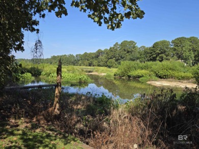 Unlock the potential of this lake home on highly sought-after on Lake Forest Yacht and Country Club in Alabama - for sale on GolfHomes.com, golf home, golf lot