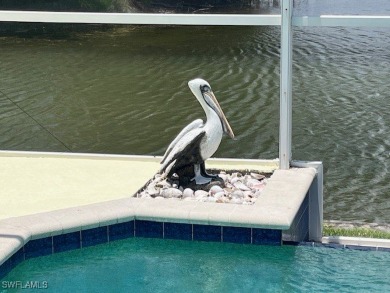 MOVE IN READY / TURNKEY. This beautiful Waterfront home is up to on El Rio Golf Course and Club in Florida - for sale on GolfHomes.com, golf home, golf lot
