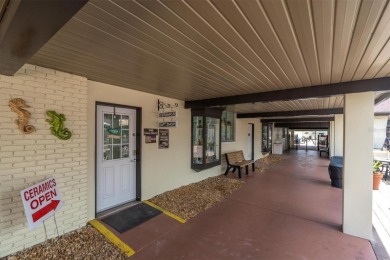 55+ resort-style living at Sun City Center - ranked #1 on Sandpiper Golf Club in Florida - for sale on GolfHomes.com, golf home, golf lot
