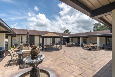 55+ resort-style living at Sun City Center - ranked #1 on Sandpiper Golf Club in Florida - for sale on GolfHomes.com, golf home, golf lot