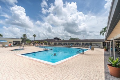 55+ resort-style living at Sun City Center - ranked #1 on Sandpiper Golf Club in Florida - for sale on GolfHomes.com, golf home, golf lot