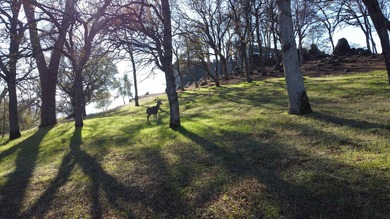 Unveiling a truly exceptional opportunity within the prestigious on DarkHorse Golf Club in California - for sale on GolfHomes.com, golf home, golf lot