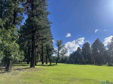 Take a look at this unique octagon home with easy year round on Pendaries Village Community Assoc. in New Mexico - for sale on GolfHomes.com, golf home, golf lot