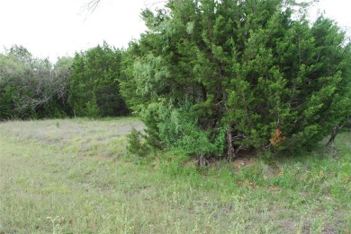 Come get your lot and make White Bluff your away from home on White Bluff Resort - New Course in Texas - for sale on GolfHomes.com, golf home, golf lot