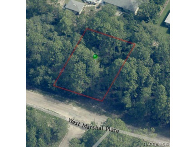 Buildable Lot in Citrus Springs presents an excellent on Pine Ridge Community Golf and Country Club in Florida - for sale on GolfHomes.com, golf home, golf lot