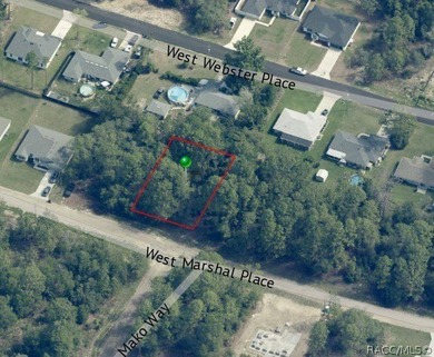 Buildable Lot in Citrus Springs presents an excellent on Pine Ridge Community Golf and Country Club in Florida - for sale on GolfHomes.com, golf home, golf lot