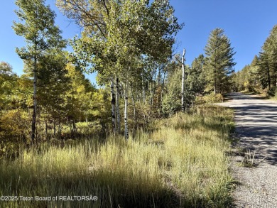 Beautiful treed .62 acre lot on the corner of Hillside Circle on Star Valley RV Golf Course in Wyoming - for sale on GolfHomes.com, golf home, golf lot