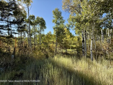 Beautiful treed .62 acre lot on the corner of Hillside Circle on Star Valley RV Golf Course in Wyoming - for sale on GolfHomes.com, golf home, golf lot