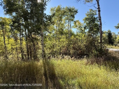 Beautiful treed .62 acre lot on the corner of Hillside Circle on Star Valley RV Golf Course in Wyoming - for sale on GolfHomes.com, golf home, golf lot