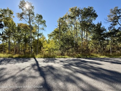 Beautiful treed .62 acre lot on the corner of Hillside Circle on Star Valley RV Golf Course in Wyoming - for sale on GolfHomes.com, golf home, golf lot