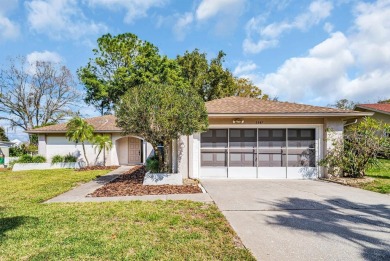 This Highland Lakes single family 1,560 sq ft home has on Highland Lakes Executive Golf Course in Florida - for sale on GolfHomes.com, golf home, golf lot